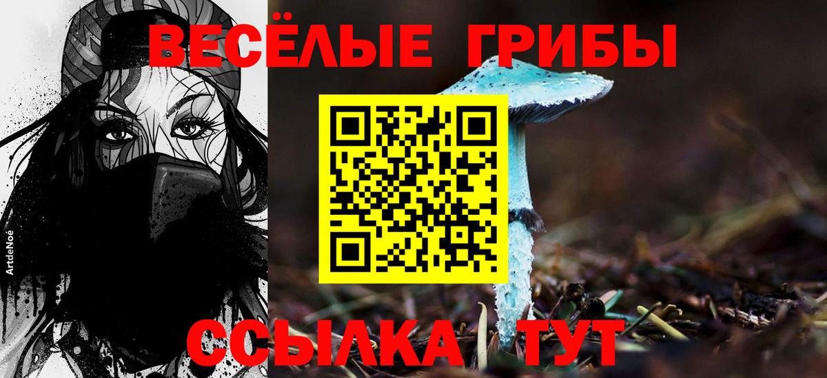 Галлюциногенные грибы Cubensis  Вход с VPN  Галлюциногенные грибы мицелий  Луховицы 